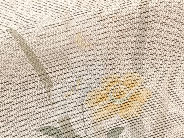 平和屋着物*夏物 訪問着 絽 友禅 枝花文 正絹 逸品 CABG7193xi