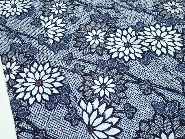 平和屋着物∴夏物 浴衣 菊 綿 逸品 CABG72022rv