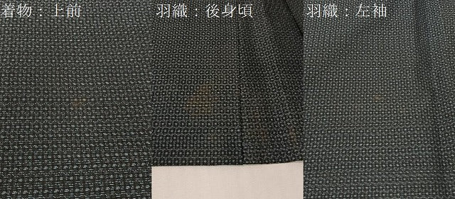 平和屋着物●男性 本場大島紬 アンサンブル 80亀甲 総詰め 正絹 逸品 CABG7761vp