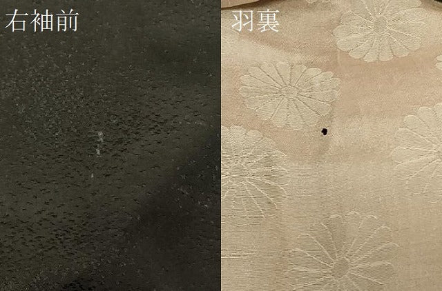 平和屋着物#羽織 寿光織 花唐草文 黒地 金銀糸 正絹 逸品 CABG8091in