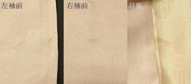 平和屋着物#羽織 寿光織 遠山文 金銀糸 正絹 逸品 未使用 CABG8110in