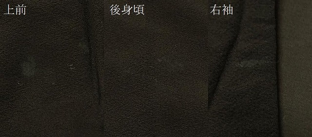 平和屋着物#羽織 霞文 黒地 金銀彩 正絹 逸品 CABG8143in