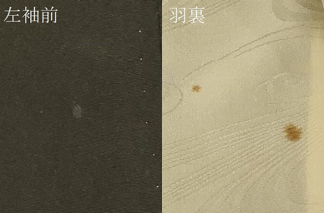 平和屋着物#羽織 寿光織 風景文 黒地 金銀糸 正絹 逸品 CABG8240in