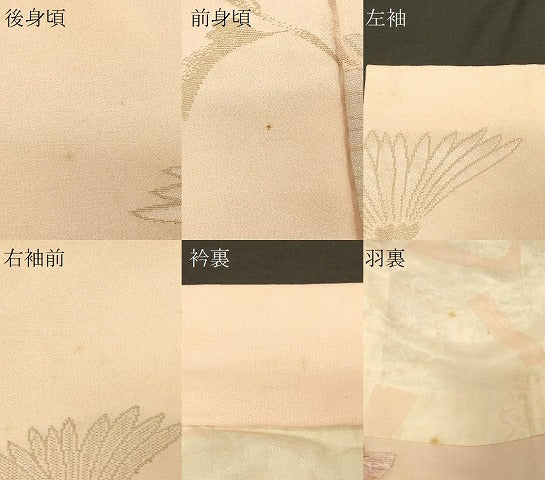 平和屋着物#羽織 寿光織 枝菊文 金銀糸 正絹 逸品 CABG8295in