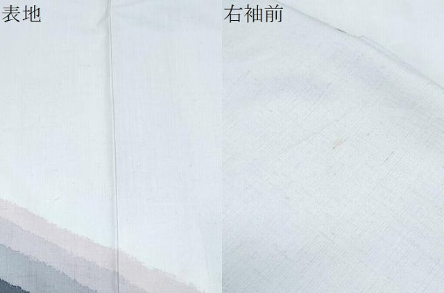平和屋着物●訪問着 紬地 霞文 金彩 正絹 逸品 CABG8445th