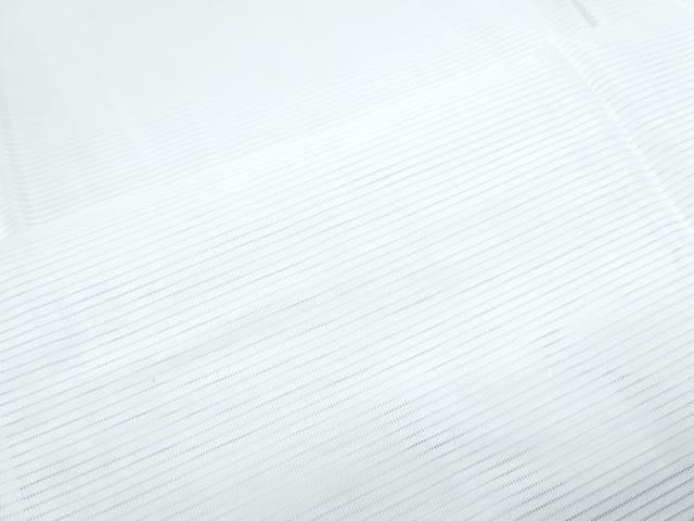 平和屋着物*夏物 長襦袢 平絽 洗える着物 CABG8590th