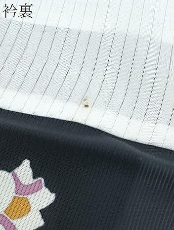 平和屋着物*夏物 訪問着 絽 唐子 黒地 正絹 逸品 CABG8634th