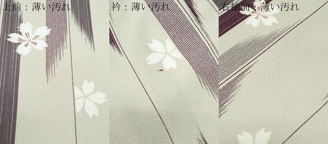 平和屋着物■小紋 舞花間道 洗える着物 CABG8739th