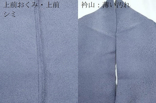 平和屋着物■伝統工芸師 服部光擴 江戸小紋 鮫小紋柄 正絹 逸品 CABG8748th