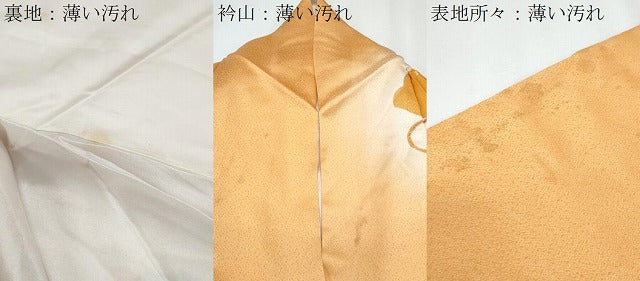 平和屋着物■訪問着 駒刺繍 桧扇花文 暈し染め 金彩 正絹 逸品 CABG8778th