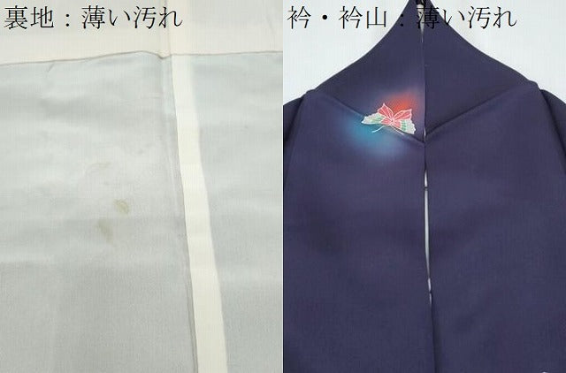 平和屋着物■上質な小紋 蛍暈し 舞蝶文 正絹 逸品 CABG8780th