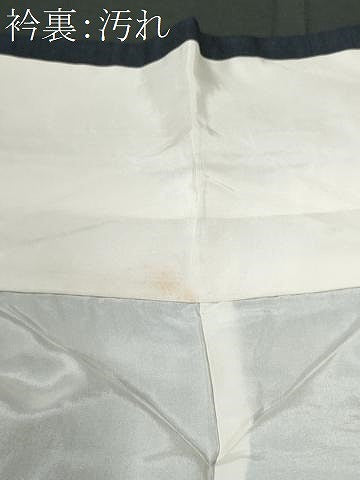 平和屋着物■上質な紬 80亀甲 草木文 正絹 逸品 CABG9843fb