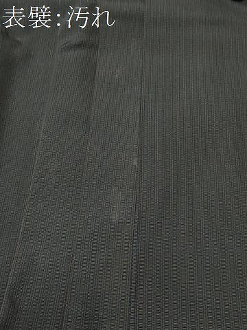 平和屋着物■男性 行灯袴 縞 正絹 逸品 CABG9933fb