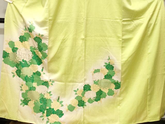 平和屋着物■訪問着 乱菊文 草花文 暈し染め 金彩 正絹 逸品 CABH0108ev