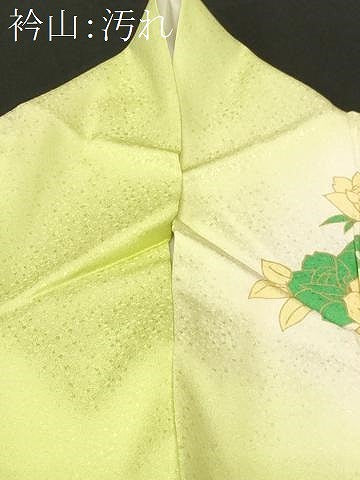 平和屋着物■訪問着 乱菊文 草花文 暈し染め 金彩 正絹 逸品 CABH0108ev
