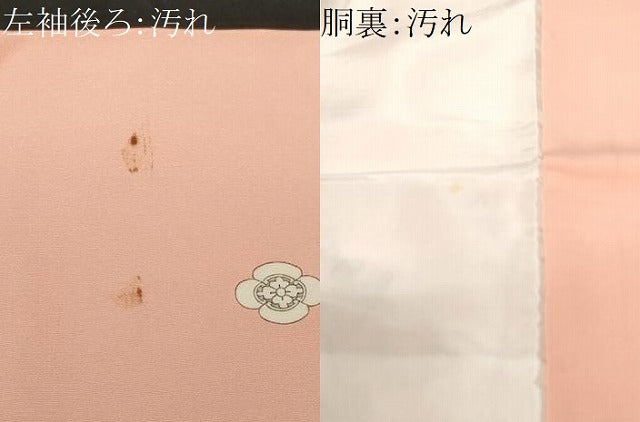平和屋着物■豪華色留袖 刺繍 花車文 文箱草花文 金糸 正絹 逸品 CABH0268ev