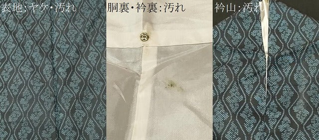 平和屋着物■上質な紬 立涌文 正絹 逸品 CABH0600ev