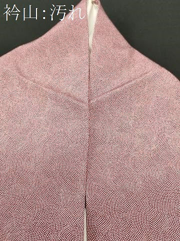 平和屋着物■江戸小紋 鮫小紋柄 正絹 逸品 CABH0698ev