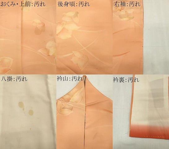平和屋着物■上質な小紋 地紋起こし 舞花文 暈し染め 正絹 逸品 CABH0852ou