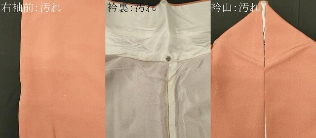 平和屋着物■上質な色無地 ときがら色 正絹 逸品 CABH0877ou