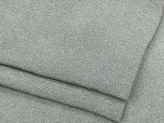 平和屋着物*夏物 江戸小紋 絽 鮫小紋柄 正絹 逸品 CABH0948ou