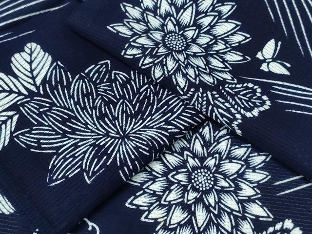 平和屋着物∴夏物 浴衣 綿絽 立波舞蝶菊文 綿 逸品 CABH1253ng