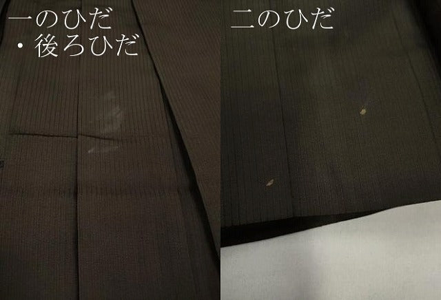 平和屋着物●男性 馬乗り袴 縞 正絹 逸品 CABH2588ut