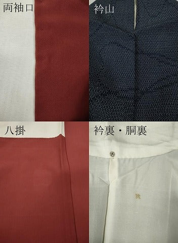 平和屋着物●本塩沢 110亀甲 舞花文 正絹 逸品 CABH2644ut