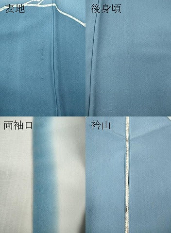 平和屋着物●訪問着 手描き 枝梅文 暈し染め 正絹 逸品 CABH2687ut