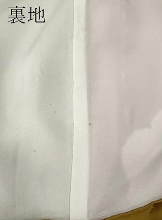 平和屋着物●振袖用長襦袢 袷 絞り 舞梅文 金彩 半衿刺繍 正絹 逸品 CABH2713ut