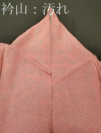 平和屋着物■江戸小紋 鮫小紋柄 正絹 逸品 CABH2947oy