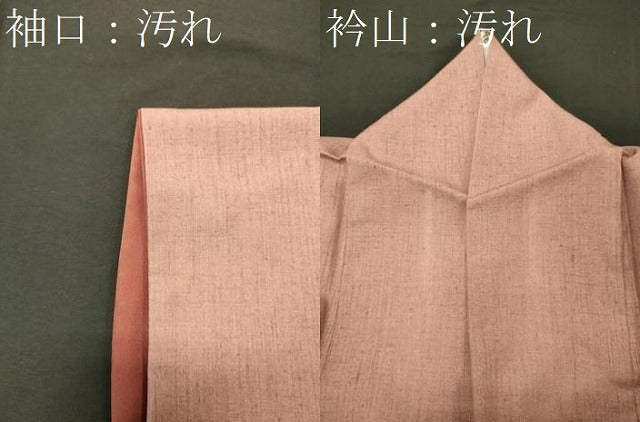 平和屋着物■訪問着 作家物 紬地 刺繍 孔雀草花文 金糸 正絹 逸品 CABH3053oy