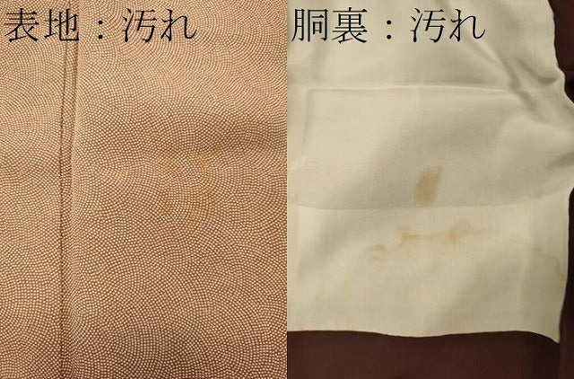 平和屋着物■江戸小紋 鮫小紋柄 正絹 逸品 CABH3174oy