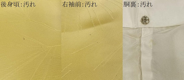 平和屋着物■上質な小紋 松葉地紋 暈し染め 正絹 逸品 CABH3365ua