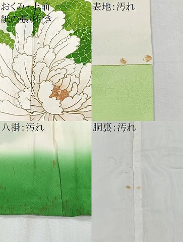 平和屋着物■訪問着 牡丹 暈し染め 金彩 正絹 逸品 CABH3401ua