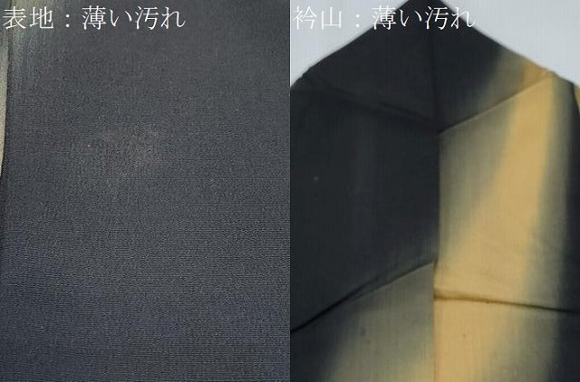 平和屋着物■上質な小紋 吉祥文 黒地 正絹 逸品 CABH3657th