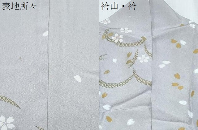 平和屋着物●上質な小紋 舞花文 金彩 ロング丈 正絹 逸品 CABH3811th