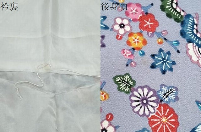 平和屋着物●上質な小紋 花蝶文 鬼しぼ縮緬 正絹 逸品 CABH3830th