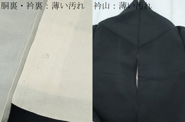 平和屋着物■豪華黒留袖 手描き 枝松文 金彩 正絹 逸品 CABH3832th