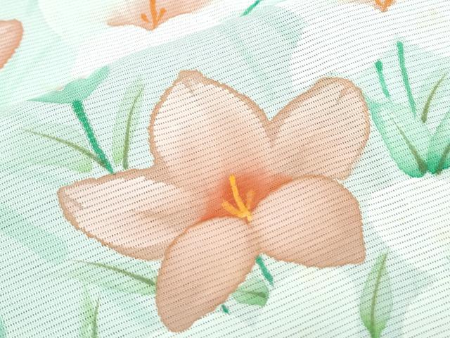 平和屋着物*夏物 訪問着 絽 草花文 正絹 逸品 CABH3839th