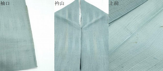 平和屋着物*夏物 訪問着 紗紬 草花文 正絹 逸品 CABH3857th