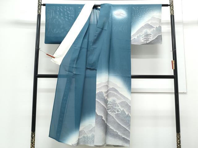 平和屋着物*夏物 訪問着 絽 遠山風景文 正絹 逸品 CABH3898th