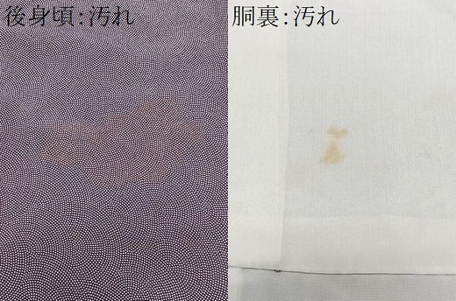平和屋着物■江戸小紋 鮫小紋柄 正絹 逸品 CABH4021xe