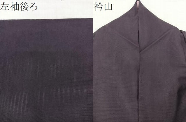 平和屋着物*夏物 色無地 絽 滅紫色 洗える着物 CABH5205xi
