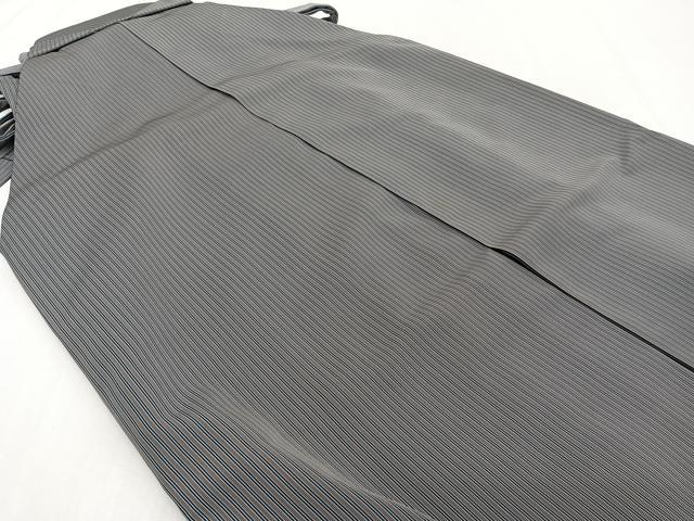 平和屋着物●男性 行灯袴 縞 正絹 逸品 CABH5237xi