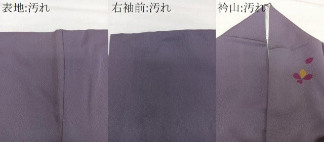 平和屋着物■訪問着 流水草花文 金彩 ロング丈 正絹 逸品 CABH5338xi