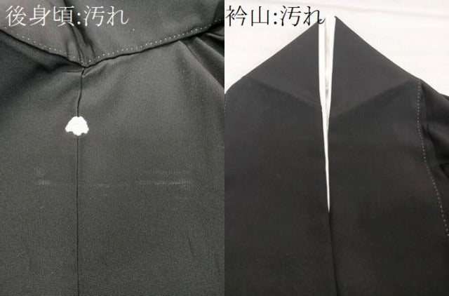 平和屋着物■豪華黒留袖 籬飛鶴風景文 暈し染め 金銀彩 正絹 逸品 CABH5361xi