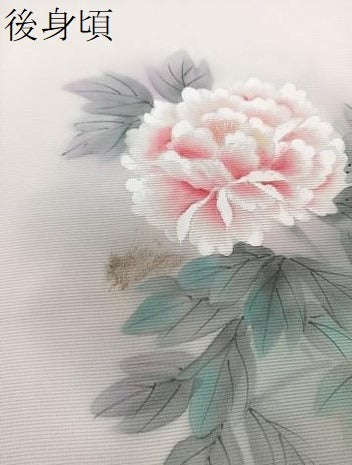 平和屋着物*夏物 訪問着 絽 手描き 草花文 正絹 逸品 CABH5564xi