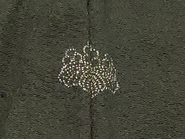 平和屋着物#羽織 寿光織 草花文 黒地 金銀糸 正絹 逸品 CABH6988in