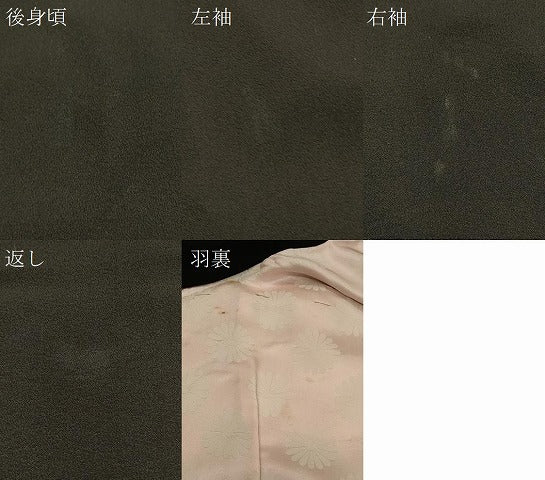 平和屋着物#羽織 寿光織 枝松花文 黒地 金銀糸 正絹 逸品 CABH7122in